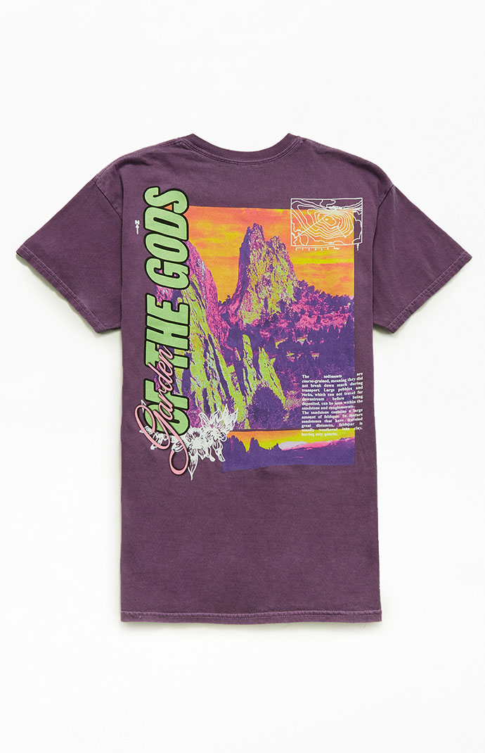 Pacsun Garden of Gods Vintage T-Shirt | PacSun
