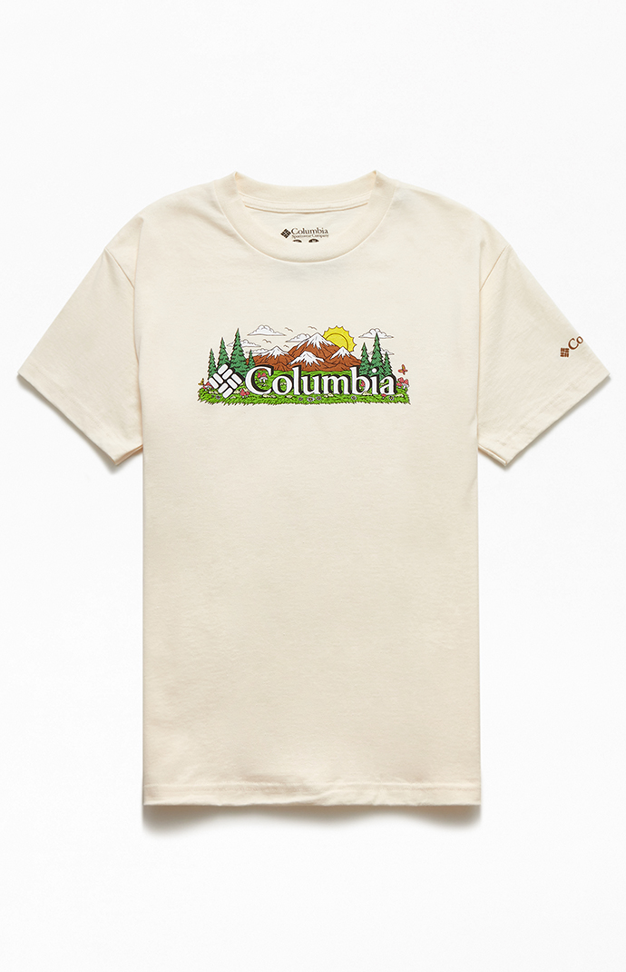 pacsun graphic tees