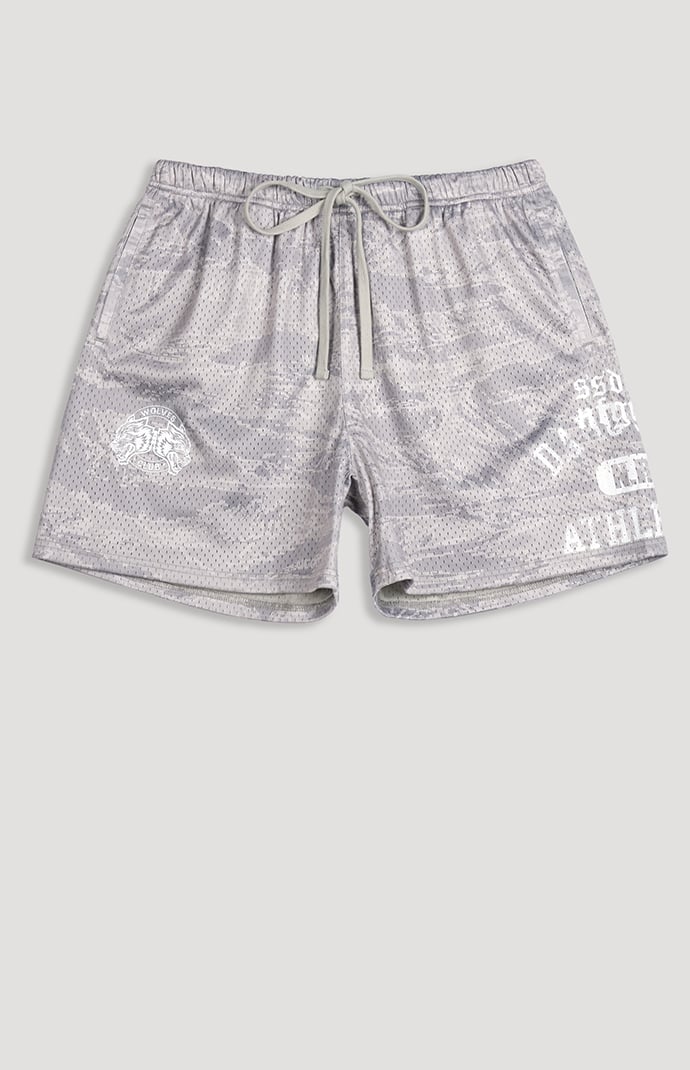 DARC SPORT ATHLETICS N.R.G. Mesh Shorts | Pacsun