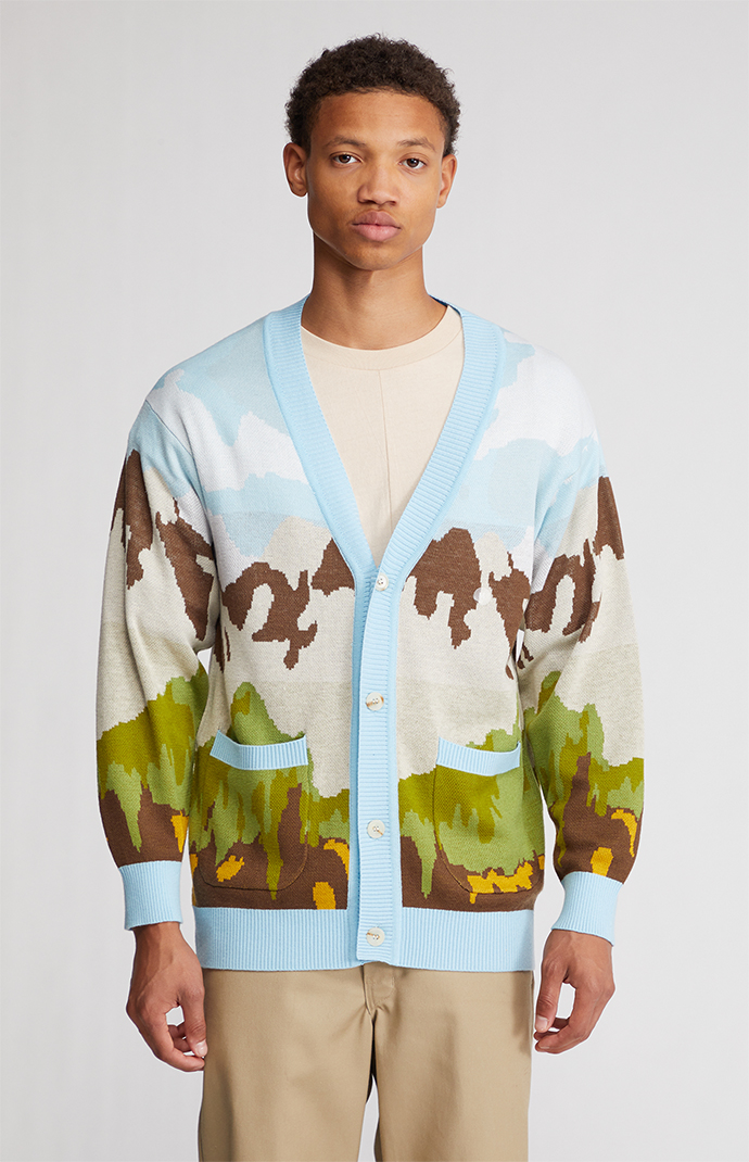 PacSun Scenic Cardigan PacSun