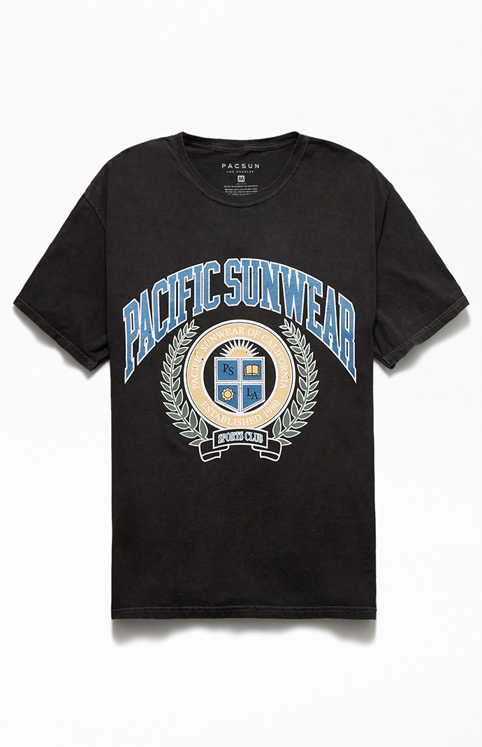 Champion hotsell shirt pacsun