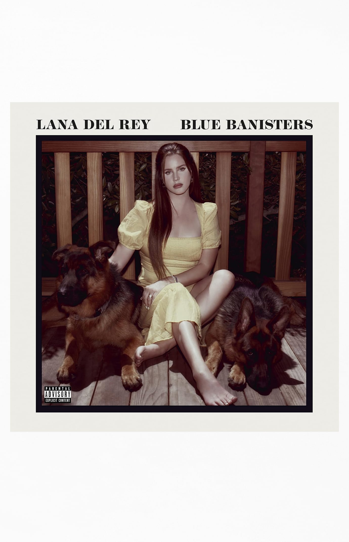 Lana Del Rey Blue Banisters Vinyl Record | Pacsun