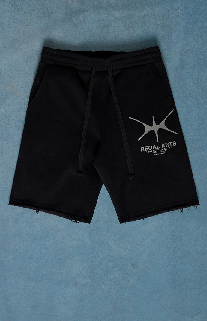 Pacsun Regal Arts Fleece Baggy Sweat Shorts | Pacsun