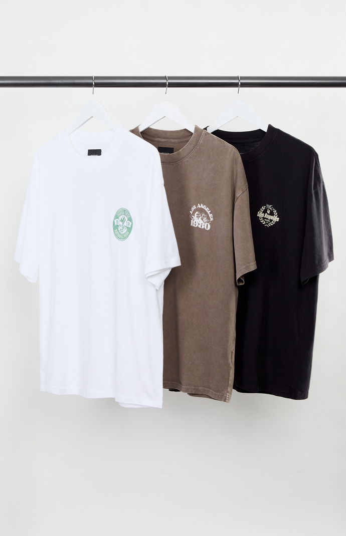 Pacsun 3 Pack Solid Color Embroidered T-Shirts | Pacsun