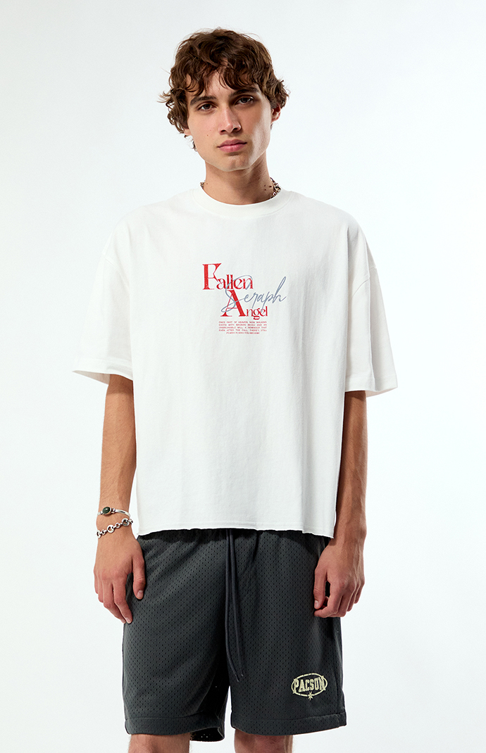 す*︎様 Ozzon Garden of Fallen Angel 半袖ロングブ Pacsun Fallen Angel Cropped Boxy T-Shirt | Pacsun