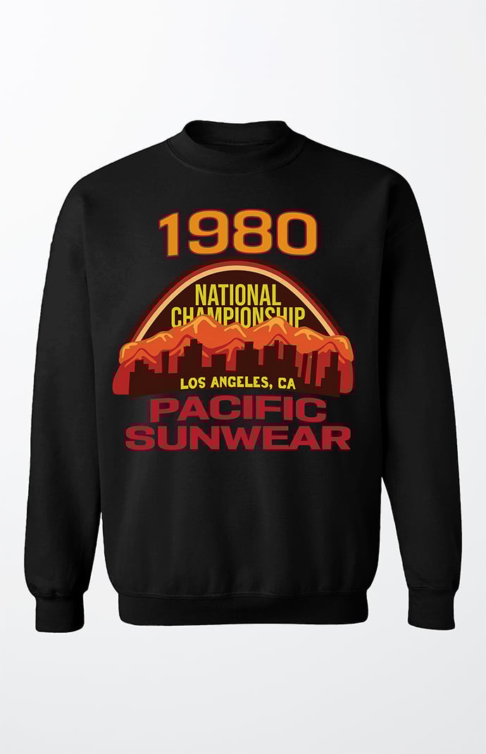 Champion sweater pacsun xl online