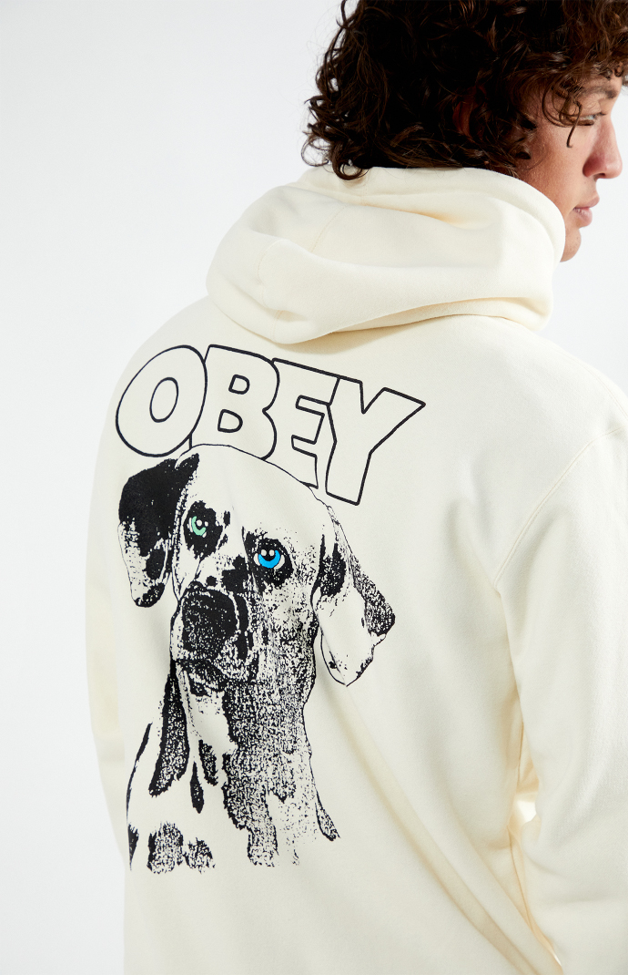 Pacsun obey hoodie store