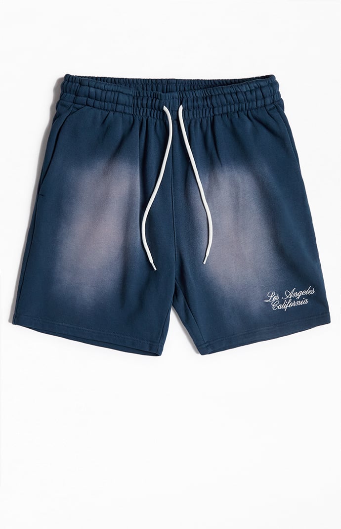 PacSun Navy Potassium Fleece Volley Sweat Shorts | PacSun