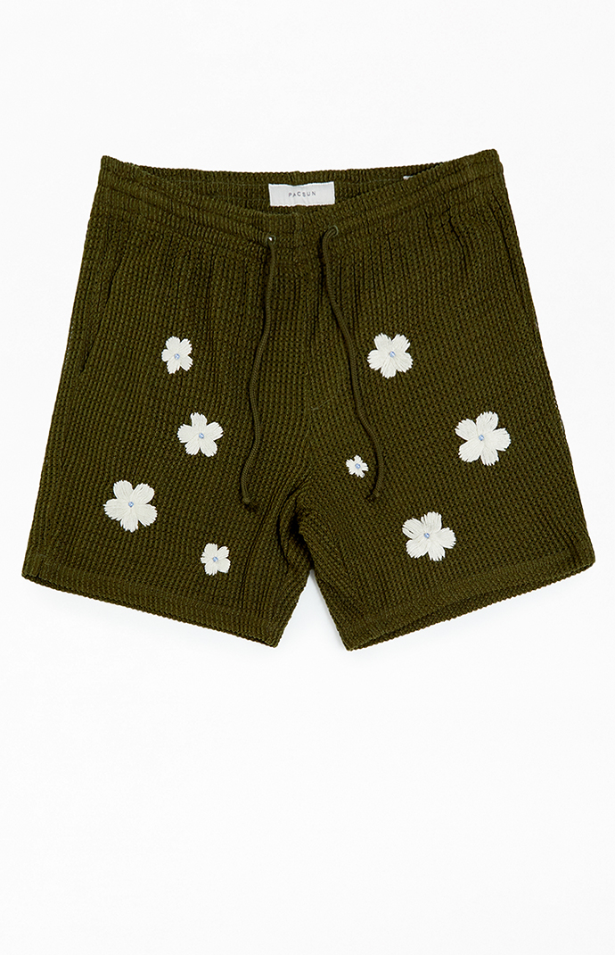 Pacsun mens swim shorts online
