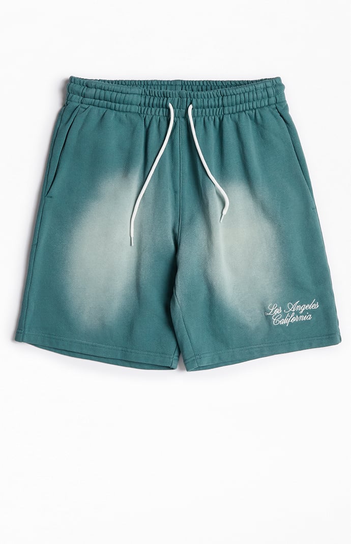 PacSun Green Potassium Fleece Volley Sweat Shorts | PacSun