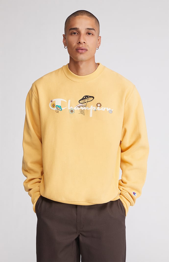 Champion sweater pacsun top español