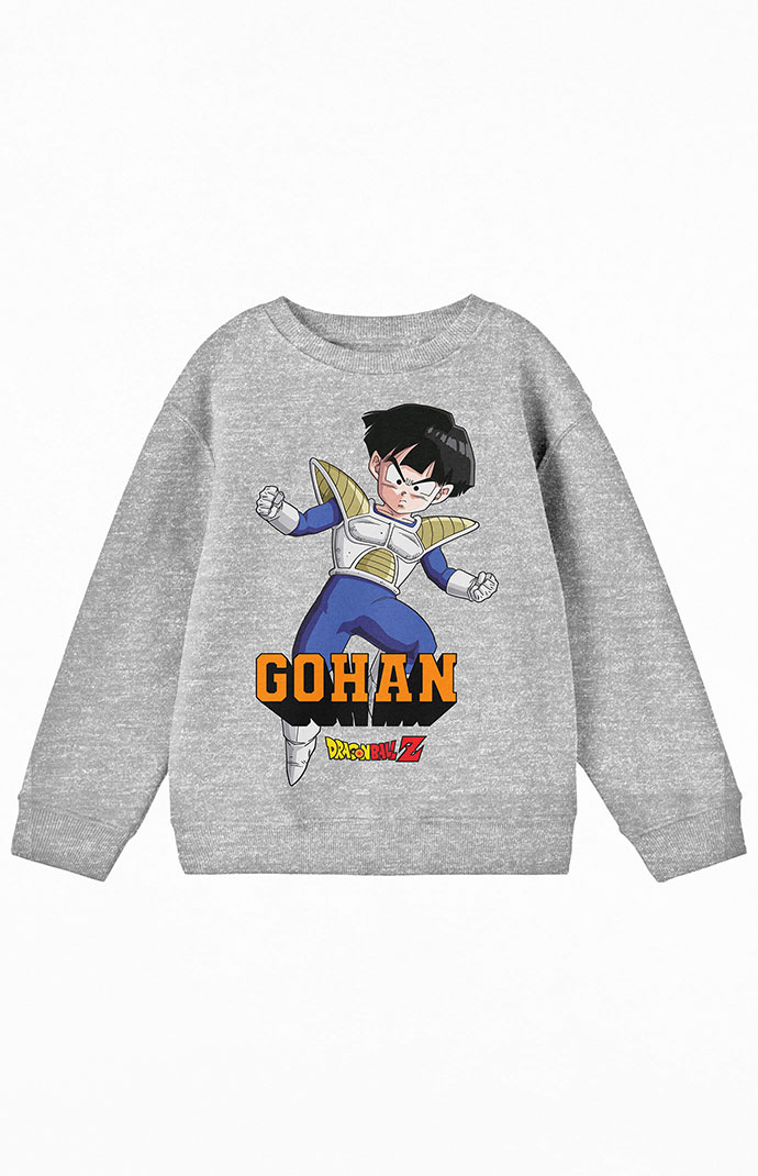 Dragon ball z hoodie deals pacsun