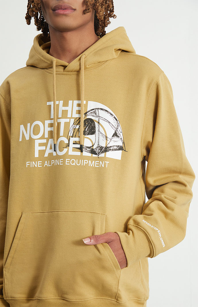 The North Face Logo Play Hoodie PacSun