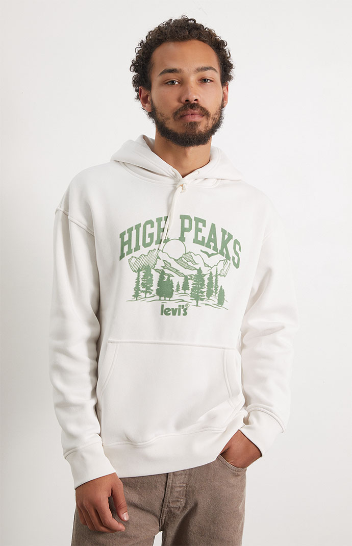 Levi's Relaxed Graphic Pullover Hoodie | PacSun